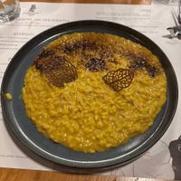 Risotto zafferano liquirizia limone at Romeow Cat Bistrot in Rome