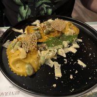   at Romeow Cat Bistrot in Rome