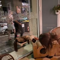   at Romeow Cat Bistrot in Rome