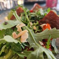  at Romeow Cat Bistrot in Rome