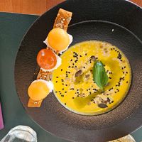  at Romeow Cat Bistrot in Rome