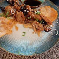  at Romeow Cat Bistrot in Rome