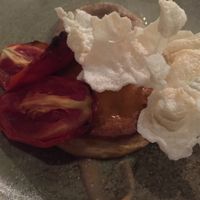 Tofu medallion with provençal herbs, roasted sweet onion cream and san Marzano tomatoes  at Romeow Cat Bistrot in Rome