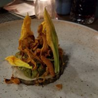 Eggplant squash blossoms at Romeow Cat Bistrot in Rome
