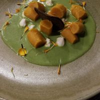 Raw carrot gnocci with macadamia cheese in pea sauce at Romeow Cat Bistrot in Rome