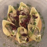 Conchiglie  at Romeow Cat Bistrot in Rome