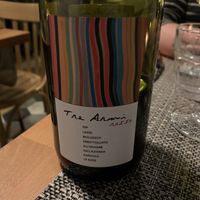 Lazio at Romeow Cat Bistrot in Rome