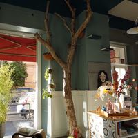 The front of the cafe at Romeow Cat Bistrot in Rome