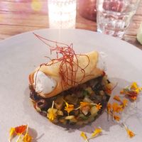 Lovely presentation  at Romeow Cat Bistrot in Rome