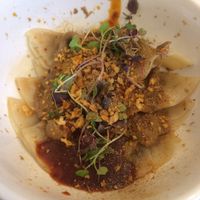 Fun Guy Dumplings at Beyond Sushi in New York City