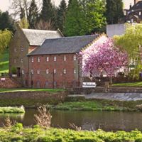 1 at Hullabaloo in Dumfries