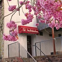 2 at Hullabaloo in Dumfries