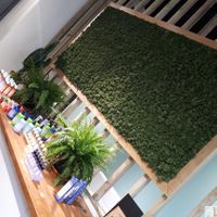 Vegetal wall at Veganie in Paris