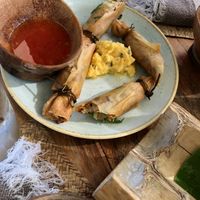 Vegetarian spring rolls at Mezzanine in Tulum