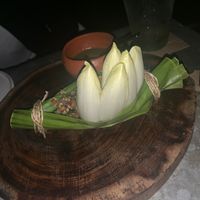 Chicory starter  at Mezzanine in Tulum