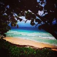 beach at Mezzanine in Tulum