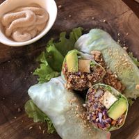   at Ikaro Cafe in Santa Marta