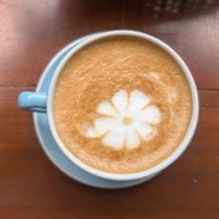  at Ikaro Cafe in Santa Marta