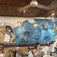   at Ikaro Cafe in Santa Marta