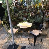 Ambience is awesome   at Kafe Botanika in San Sebastian