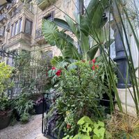   at Kafe Botanika in San Sebastian