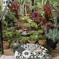   at Kafe Botanika in San Sebastian