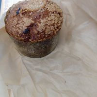 Muffin (July 2025) at Pavement Coffeehouse - Comm Ave in Boston