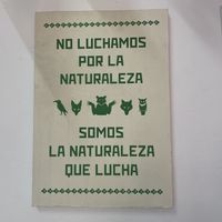   at Flor de Loto in Cali