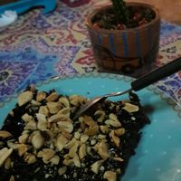 brownie vegano at Flor de Loto in Cali