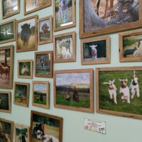 interior at Vegan Grocery Store in Fitzroy