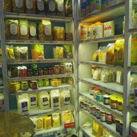 La Gastronomia Veg at La Gastronomia Veg in Turin