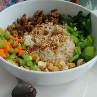 Herbal rice set meal at Nature's Harvest Cafe in Central Singapore