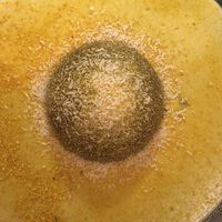 Saturno: a nutty heart in a dark chocolate semisphere and orange cream  at Al Tiglio Cucina Naturale in Moruzzo