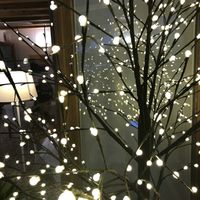 Lights  at Al Tiglio Cucina Naturale in Moruzzo