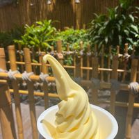  at Disneyland - Tiki Juice Bar in Anaheim