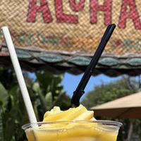   at Disneyland - Tiki Juice Bar in Anaheim