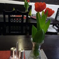 Interior of location - seating at Mariposa in Nuremberg