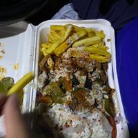 The Teller (plate) mixture of doner meat, chips and salad.  at Vegöner in Nuremberg