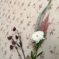 inside at Geh Veg in Berlin