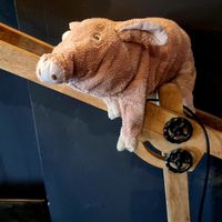  at Geh Veg in Berlin