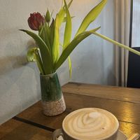   at Geh Veg in Berlin