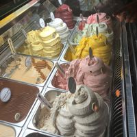 Ten vegan flavors! at Anita Glida in Tel Aviv