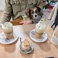   at Bohemian Lane in Bilbao