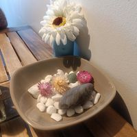 Interesting decor! at Naturally Fiordland in Te Anau