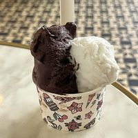 Dark chocolate / coconut  at Anita Gelato in Chippendale