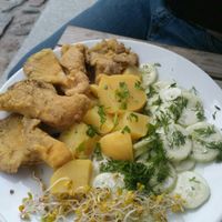 A'la schabowy. at Restauracja Ciasna in Torun