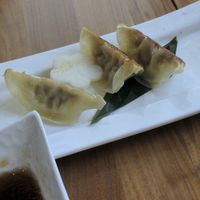 Their gyoza, half eaten :)  at Shizen Vegan Sushi Bar in San Francisco