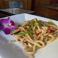 Udom noodle stir fry at Jujube Tree in Astoria