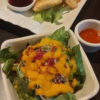 Japanese style salad. at Jujube Tree in Astoria