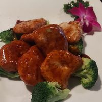 General Tsao soy. at Jujube Tree in Astoria